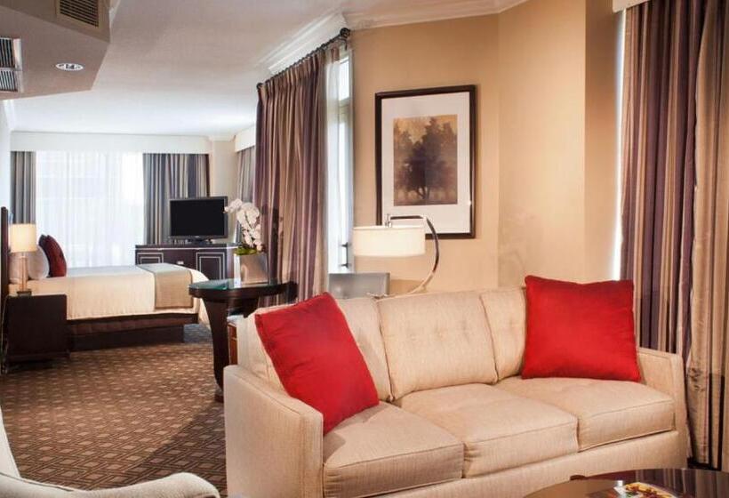 带大床的套房, Omni Severin