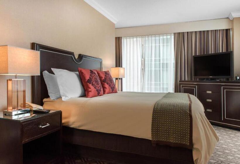 带大床的套房, Omni Severin