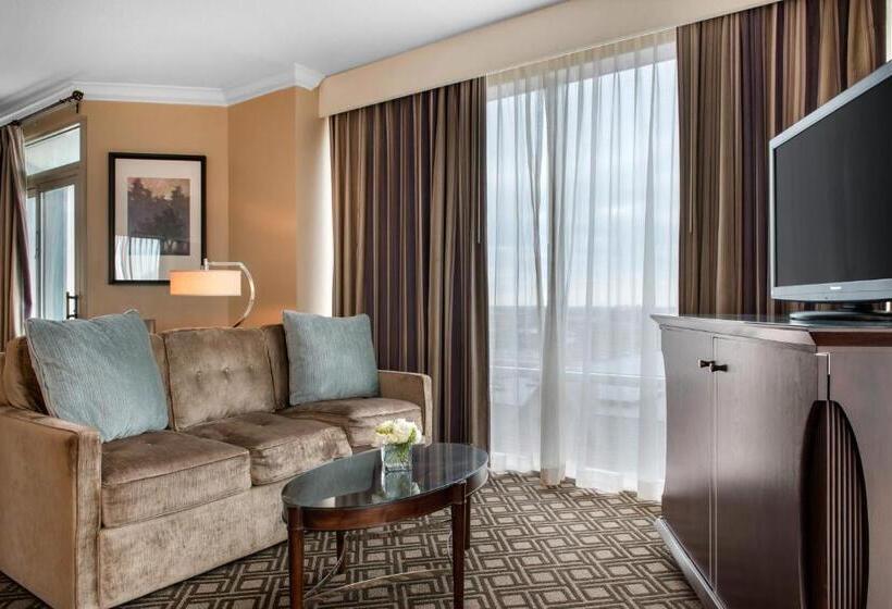 Suite met Kingsize Bed, Omni Severin