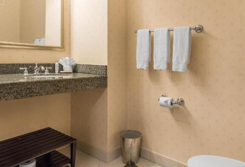 带大床的套房, Omni Severin