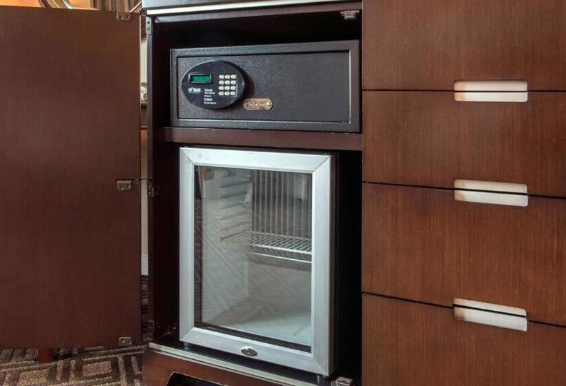 带城市景观的优质房间, Omni Severin