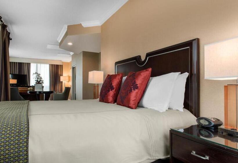 带大床的套房, Omni Severin