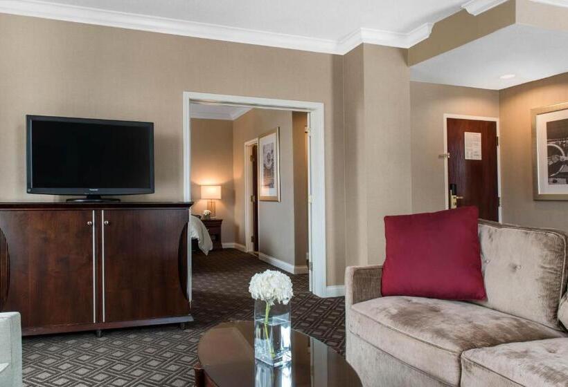 带大床的套房, Omni Severin