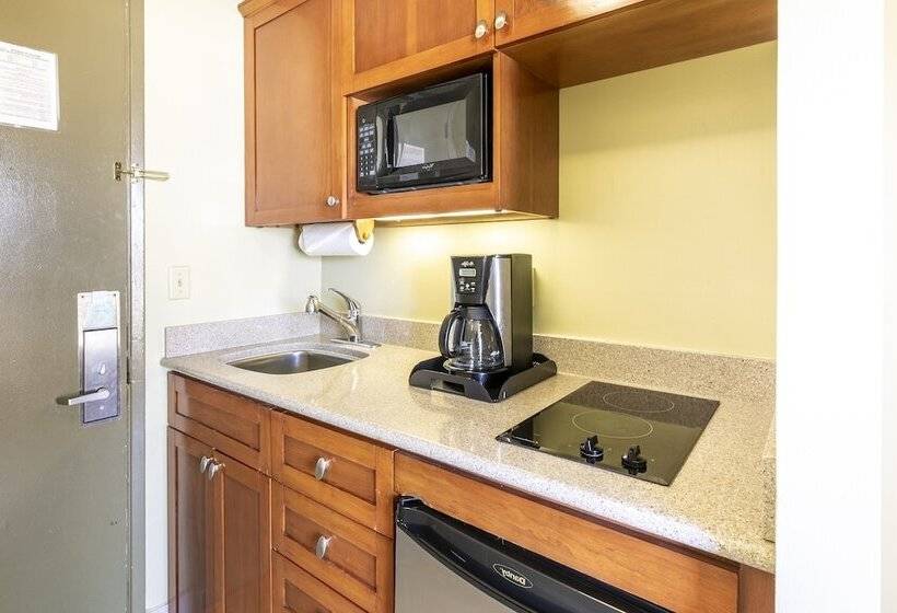 스탠다드 스튜디오, Pacific Monarch