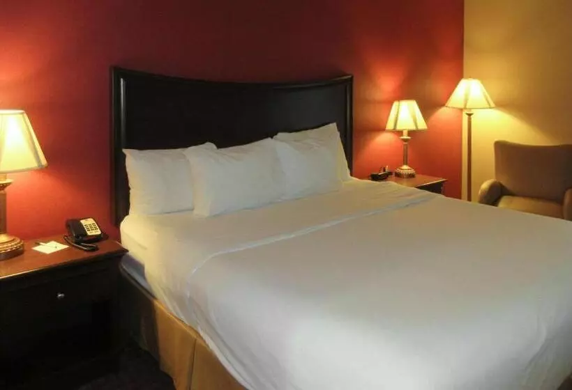 キングサイズベッドのスタンダードルーム, Quality Inn & Suites Owego