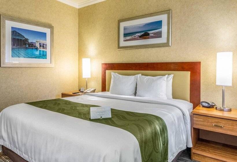 סוויטה, Quality Suites Downtown San Luis Obispo