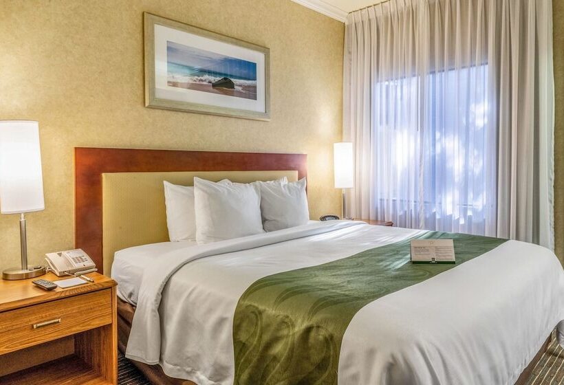Люкс, Quality Suites Downtown San Luis Obispo