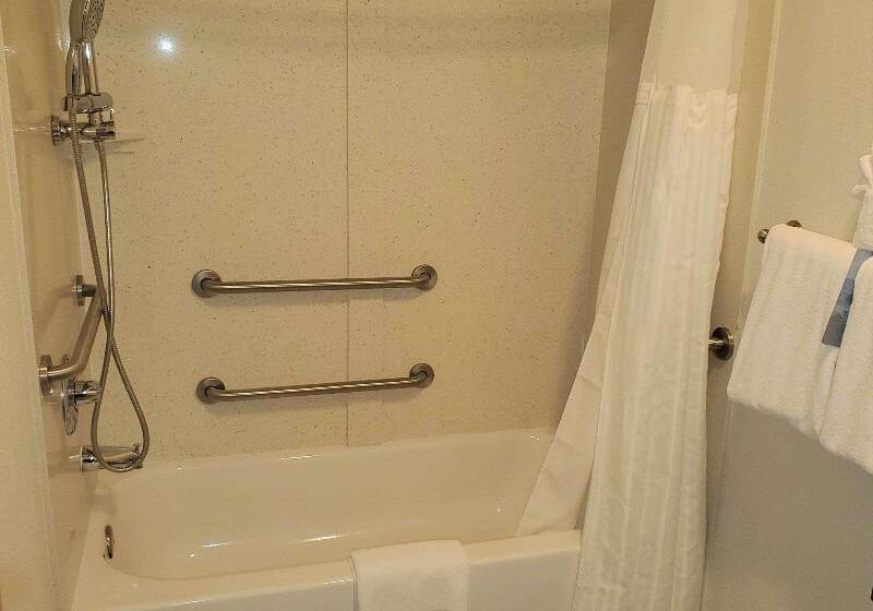 غرفة بريميوم, Radisson Hotel Colorado Springs Airport