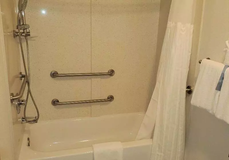 اتاق پرمیوم, Radisson Hotel Colorado Springs Airport