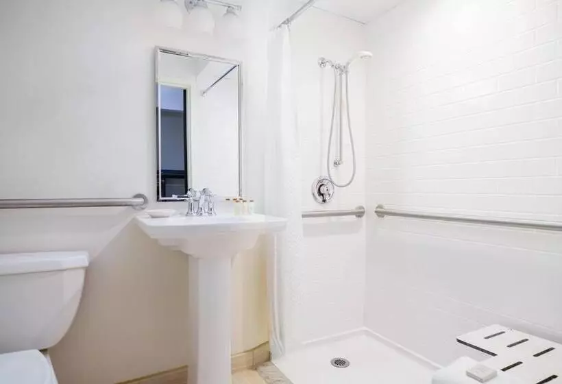 اتاق استاندارد با تخت بزرگ, Renaissance Asheville Downtown