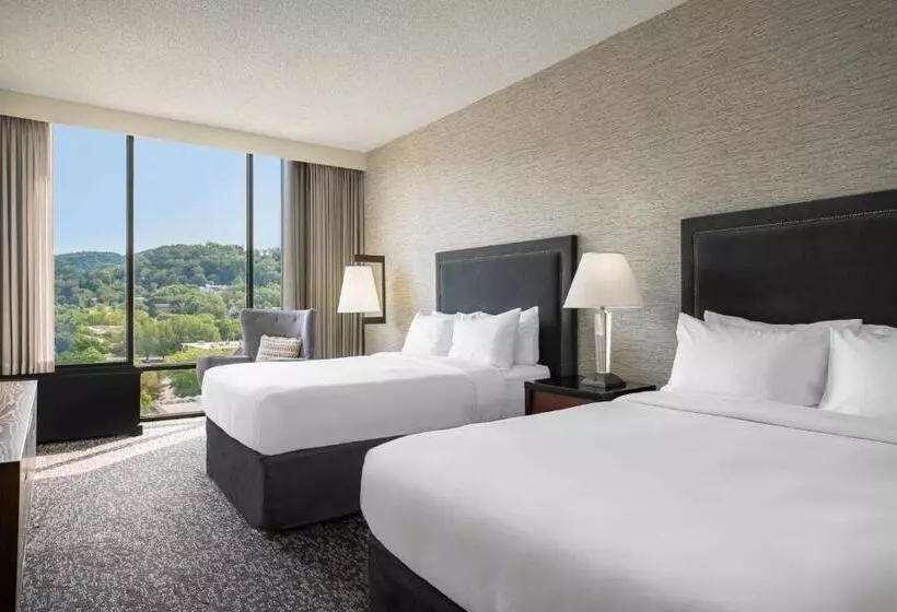 اتاق استاندارد با تخت دو نفره بزرگ, Renaissance Asheville Downtown
