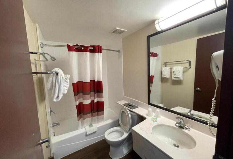 غرفة سوبيريور سرير كينج, Tropical Palms