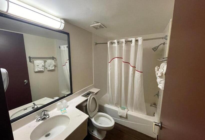 غرفة ديلوكس, Tropical Palms