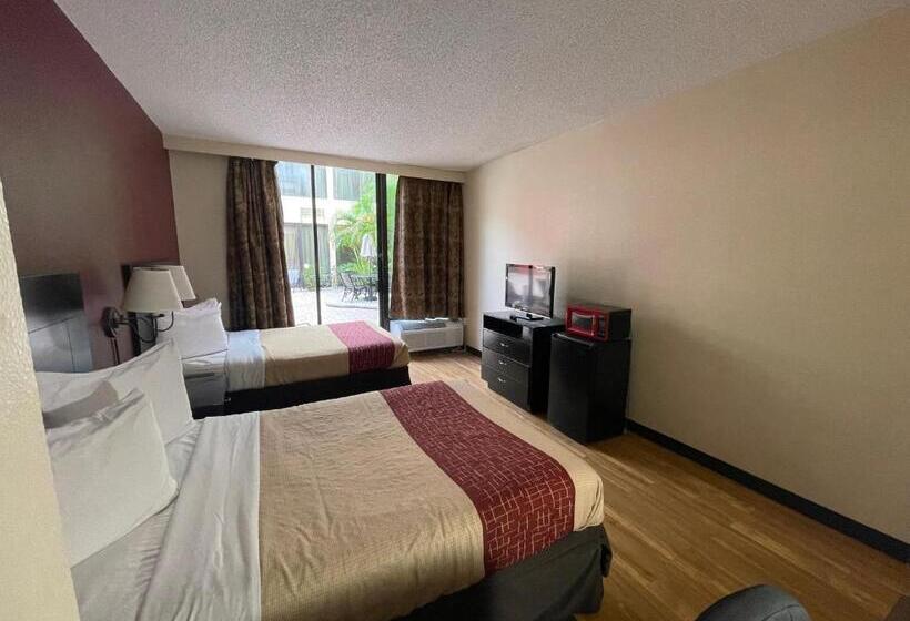 غرفة ديلوكس, Tropical Palms