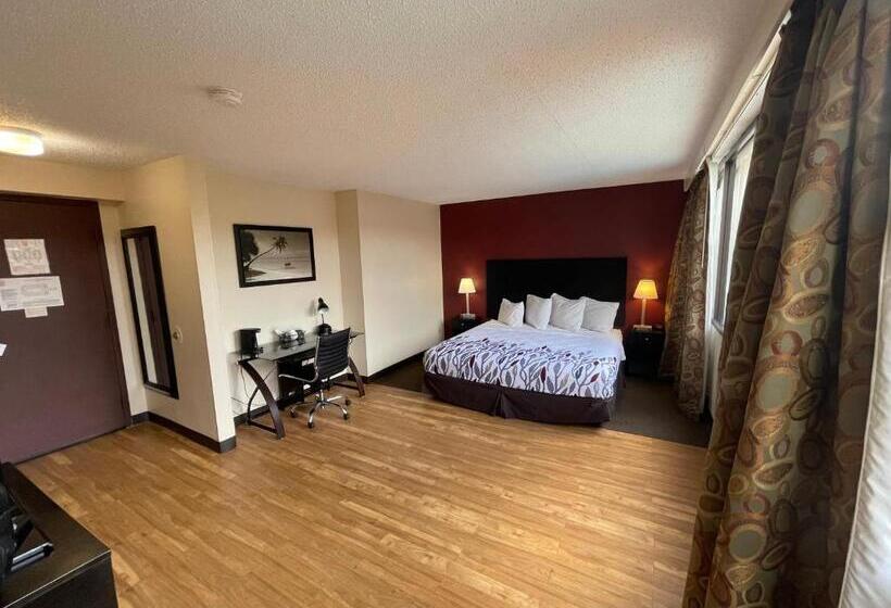 غرفة ديلوكس سرير كينج, Tropical Palms