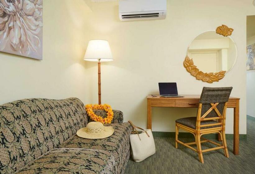 דירת חדר, Waikiki Malia
