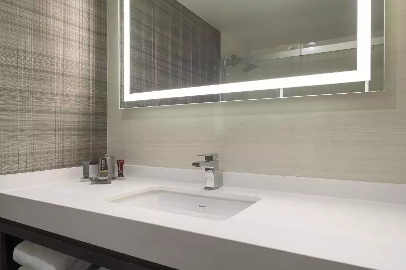 اتاق استاندارد با تخت بزرگ, Atlanta Marriott Northeast/emory Area