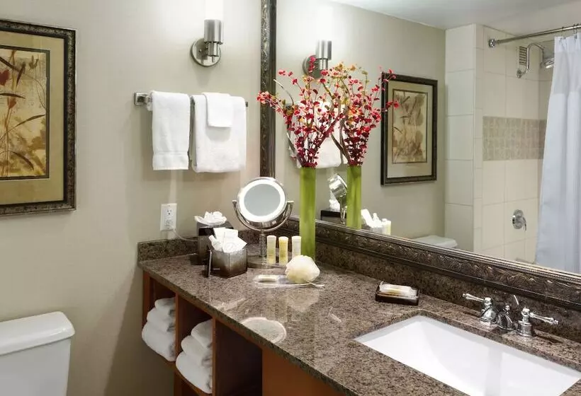 ２ダブルベッドのスタンダードルーム, Crowne Plaza Minneapolis West, An Ihg