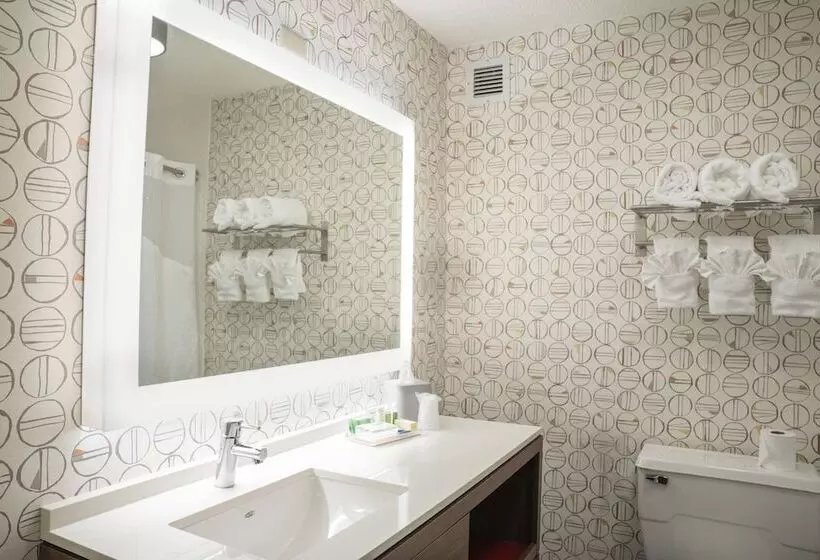 ２ダブルベッドのスタンダードルーム, Holiday Inn Asheville   Biltmore West, An Ihg
