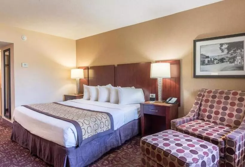 Deluxe-huone King-vuode, Moab Downtown