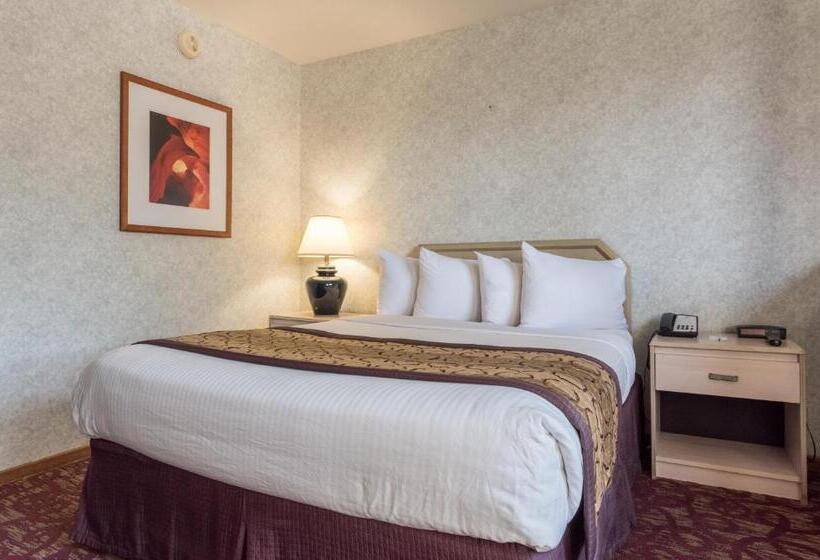 غرفة إقتصادية فردية, Moab Downtown