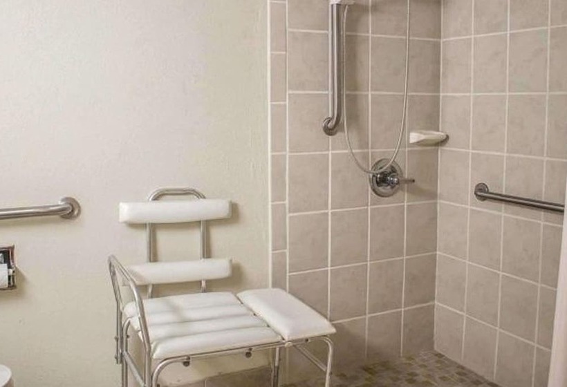 带2个双人床的标准工作室, Norwood Inn & Suites North Conference Center