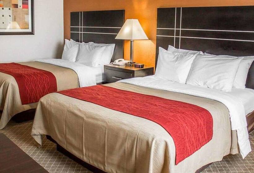 带2个双人床的标准工作室, Norwood Inn & Suites North Conference Center