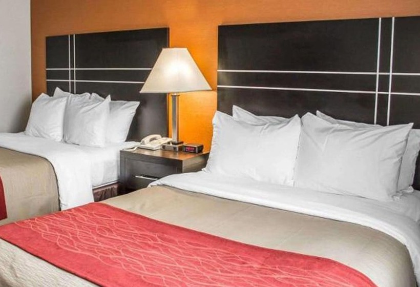 带2个双人床的标准工作室, Norwood Inn & Suites North Conference Center