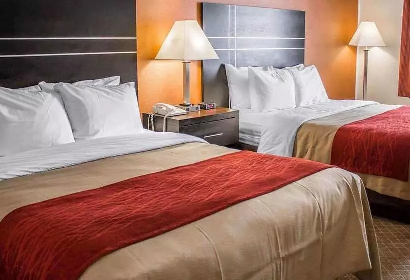 デラックスルーム, Norwood Inn & Suites North Conference Center