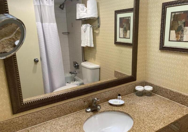 חדר סטנדרט, Radisson  Austin –university