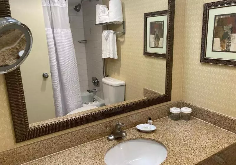 スタンダードルーム, Radisson  Austin –university