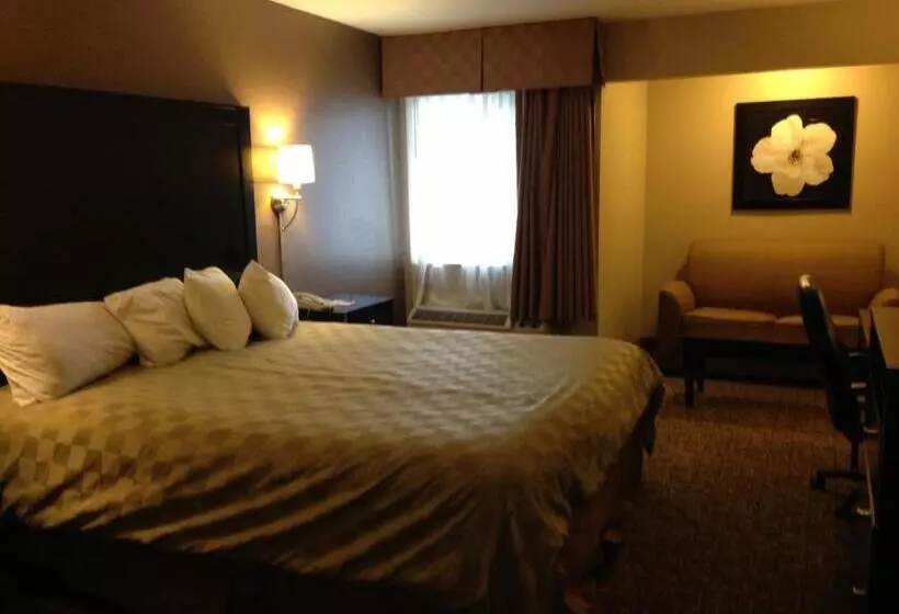 キングサイズベッドのデラックスルーム, Ramada By Wyndham Fresno North