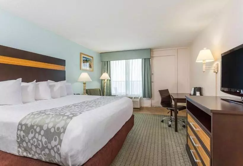 身障者適用キングサイズベッドルーム, Ramada Plaza By Wyndham Nags Head Oceanfront