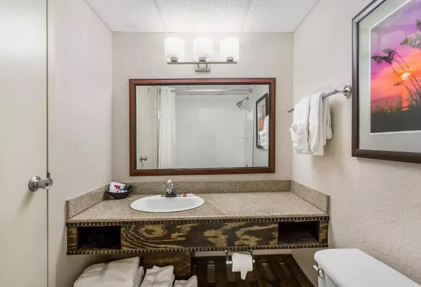 身障者適用キングサイズベッドルーム, Ramada Plaza By Wyndham Nags Head Oceanfront