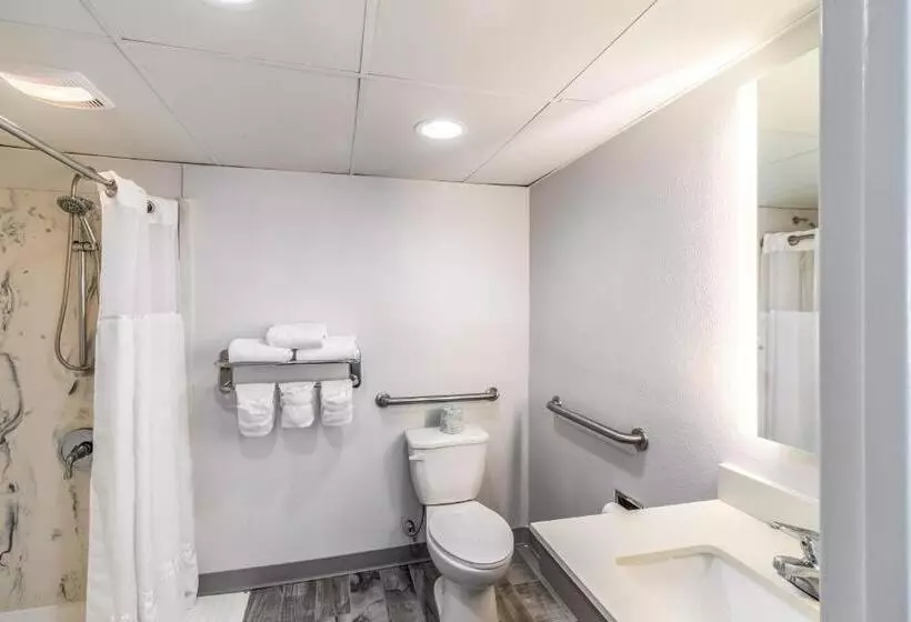身障者適用スタンダードルーム, Crystal Coast Oceanfront