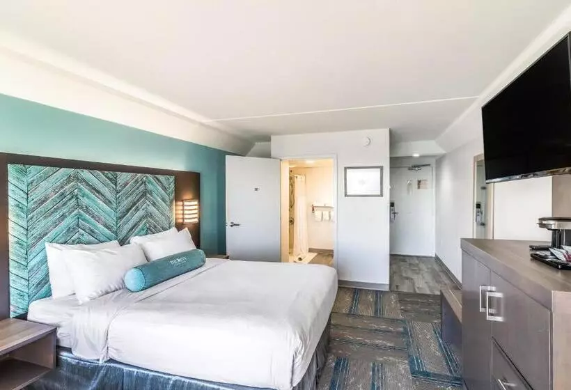 身障者適用スタンダードルーム, Crystal Coast Oceanfront