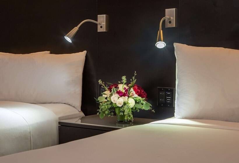 غرفه قياسيه سريرين مزدوجين, The Royal Sonesta Boston