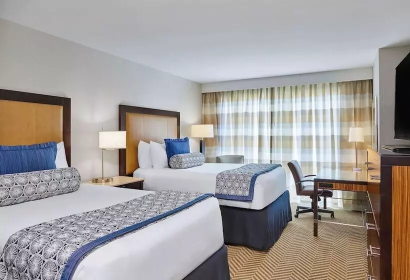 ２ダブルベッドのスタンダードルーム, The Westshore Grand, A Tribute Portfolio Hotel, Tampa