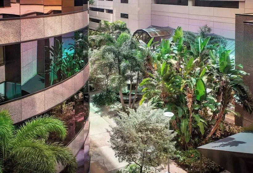 ２ダブルベッドのスタンダードルーム, The Westshore Grand, A Tribute Portfolio Hotel, Tampa