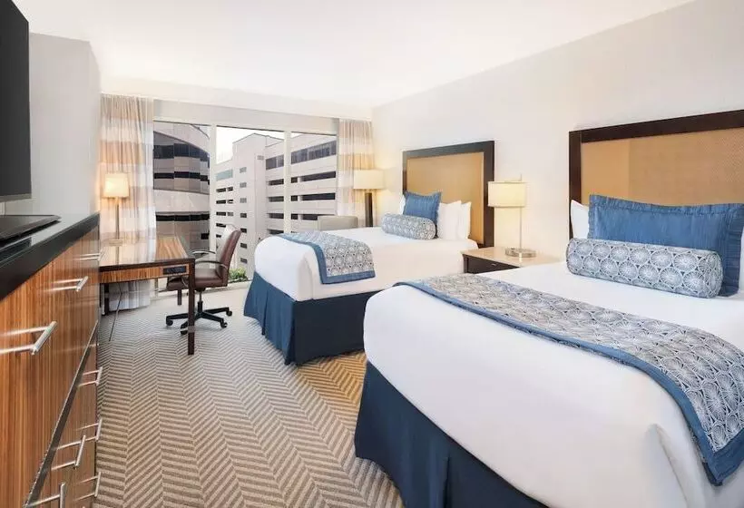 ２ダブルベッドのスタンダードルーム, The Westshore Grand, A Tribute Portfolio Hotel, Tampa
