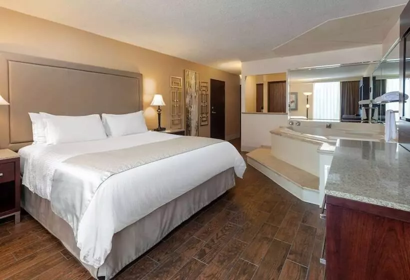 デラックススイート, Wyndham Riverfront Little Rock