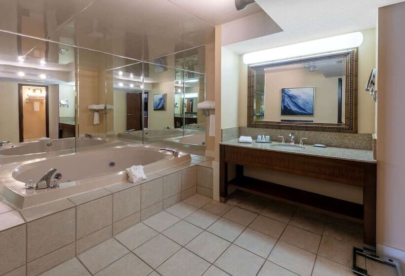 Президентский Люкс, Wyndham Riverfront