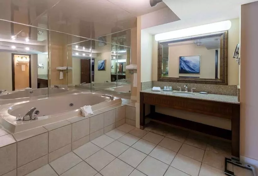 プレジデントスイートルーム, Wyndham Riverfront Little Rock