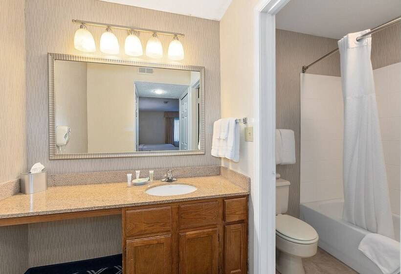 استودیوی لوکس, Residences At Daniel Webster