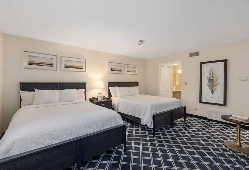 استودیوی لوکس, Residences At Daniel Webster