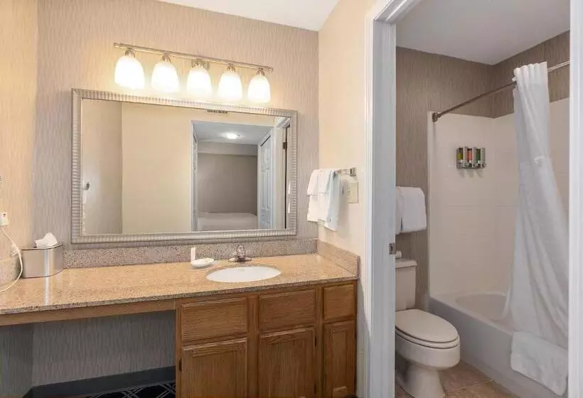 キングサイドベッドのスタンダードワンルーム, Residences At Daniel Webster