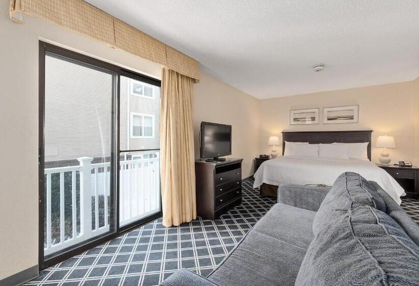 استودیو استاندارد با تخت کینگ, Residences At Daniel Webster