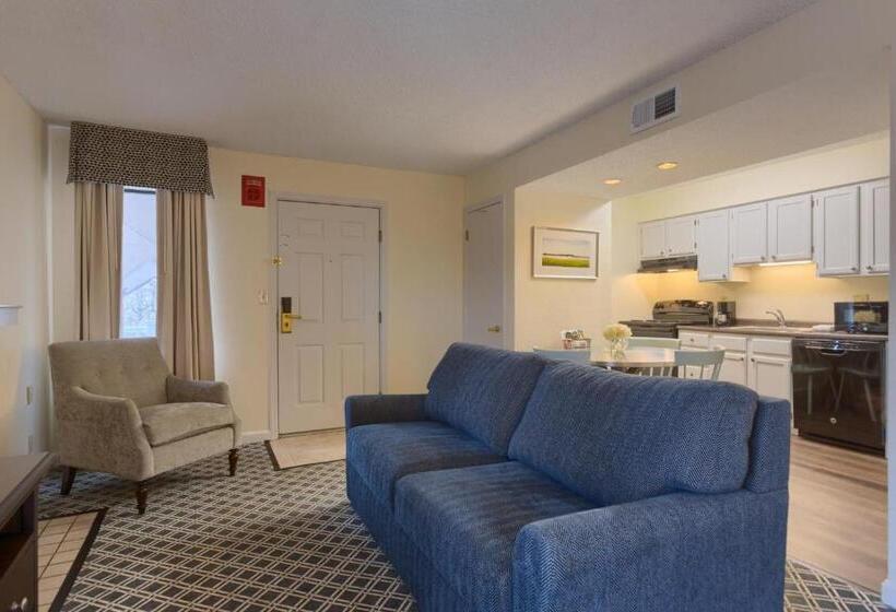 Студия Deluxe, Residences At Daniel Webster