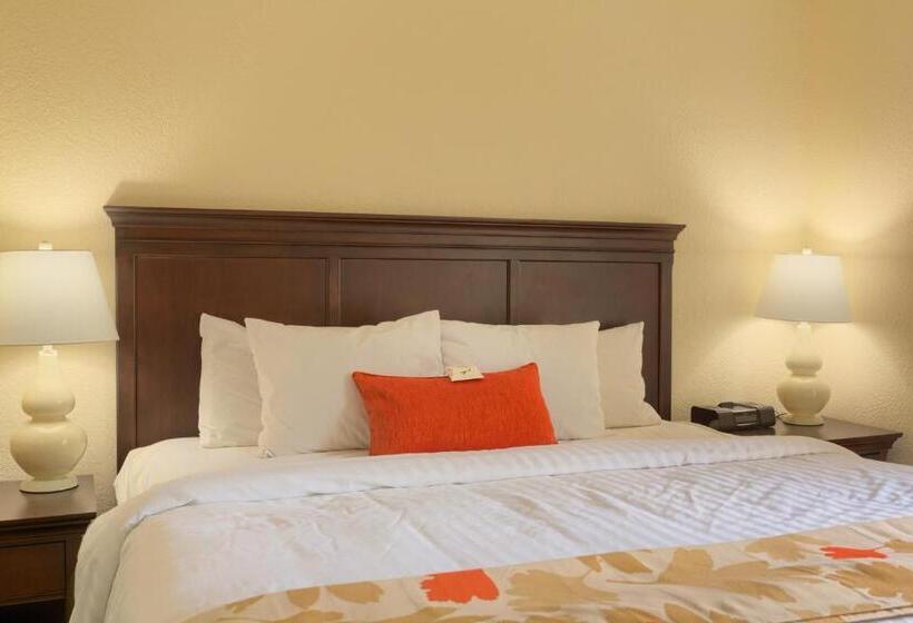 استودیوی لوکس, Residences At Daniel Webster