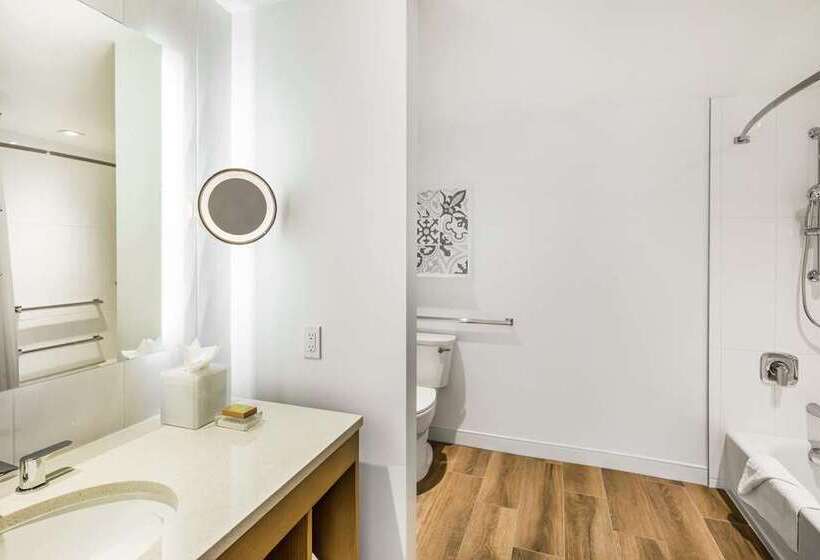 标准间, The Luxury Collection Hotel Manhattan Midtown